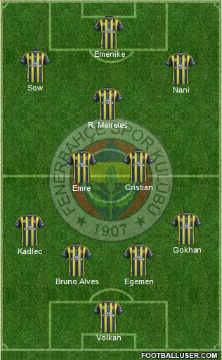 Fenerbahçe SK Formation 2013