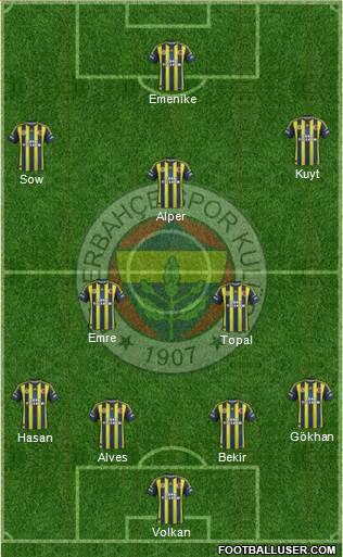 Fenerbahçe SK Formation 2013