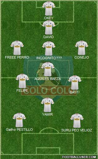 CSD Colo Colo Formation 2013
