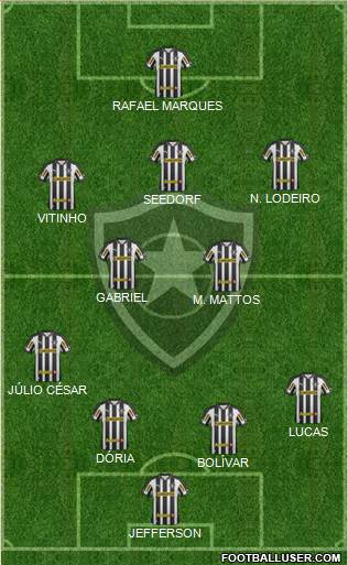 Botafogo FR Formation 2013