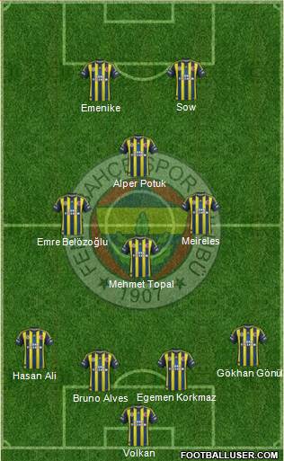 Fenerbahçe SK Formation 2013