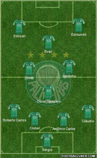 SE Palmeiras Formation 2013