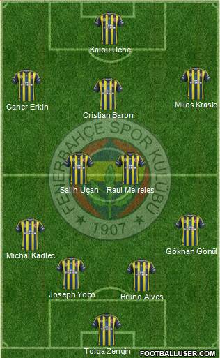 Fenerbahçe SK Formation 2013