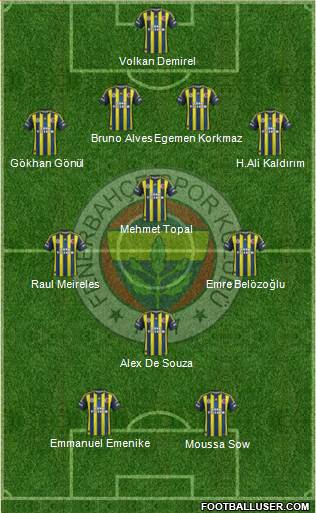 Fenerbahçe SK Formation 2013