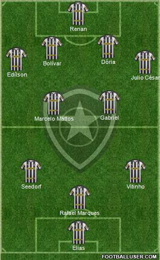 Botafogo FR Formation 2013