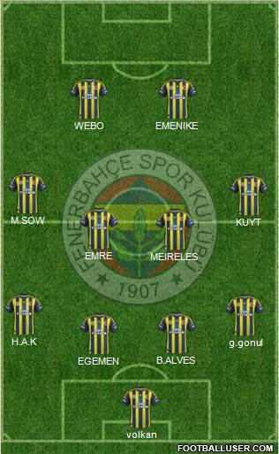 Fenerbahçe SK Formation 2013