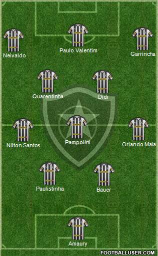 Botafogo FR Formation 2013