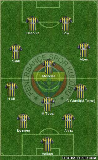 Fenerbahçe SK Formation 2013