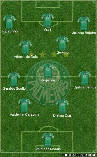 SE Palmeiras Formation 2013