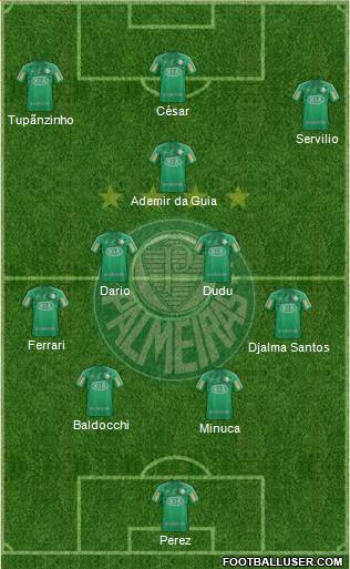 SE Palmeiras Formation 2013