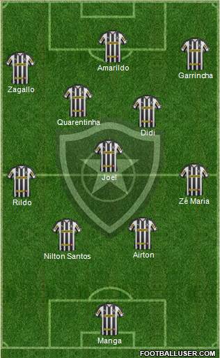 Botafogo FR Formation 2013