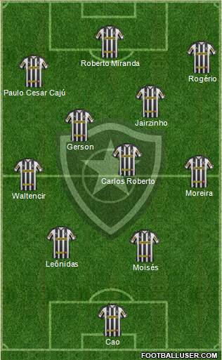 Botafogo FR Formation 2013
