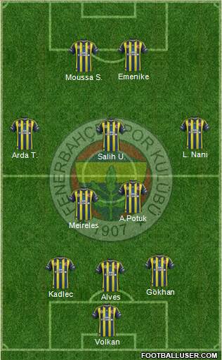 Fenerbahçe SK Formation 2013