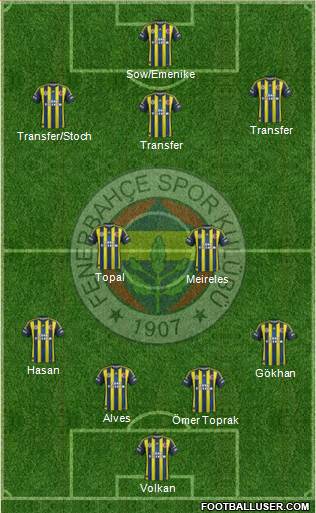 Fenerbahçe SK Formation 2013