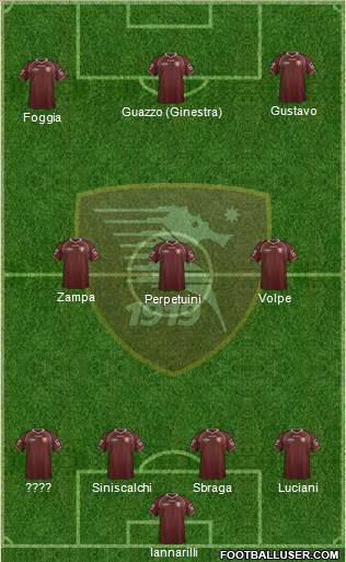 Salernitana Formation 2013