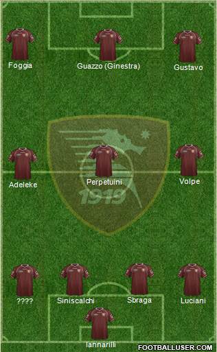 Salernitana Formation 2013