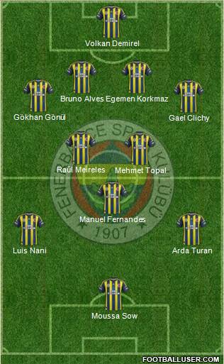 Fenerbahçe SK Formation 2013