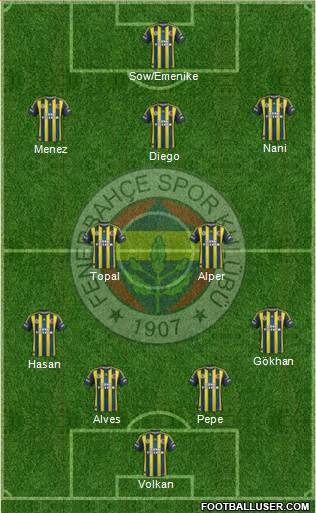 Fenerbahçe SK Formation 2013