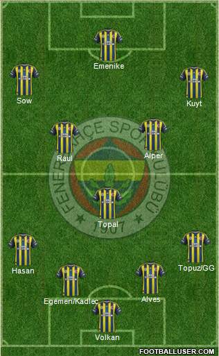 Fenerbahçe SK Formation 2013