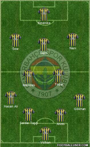 Fenerbahçe SK Formation 2013