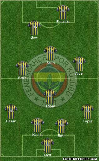 Fenerbahçe SK Formation 2013