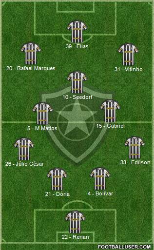 Botafogo FR Formation 2013