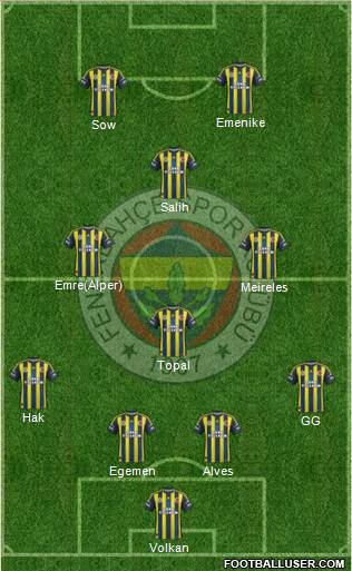 Fenerbahçe SK Formation 2013