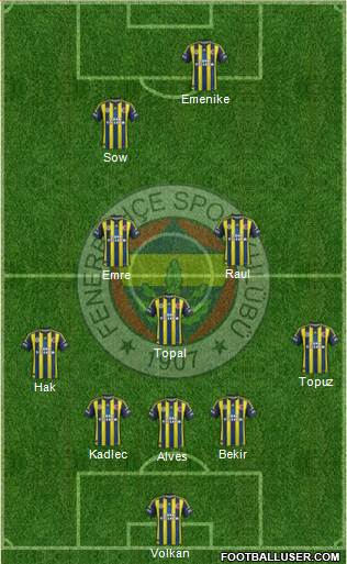 Fenerbahçe SK Formation 2013