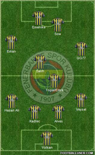 Fenerbahçe SK Formation 2013