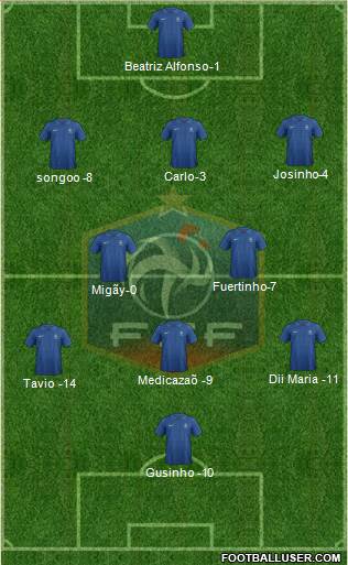 France Formation 2013