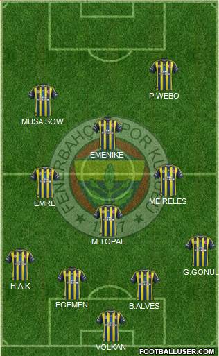 Fenerbahçe SK Formation 2013