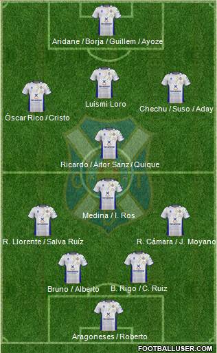 C.D. Tenerife S.A.D. Formation 2013