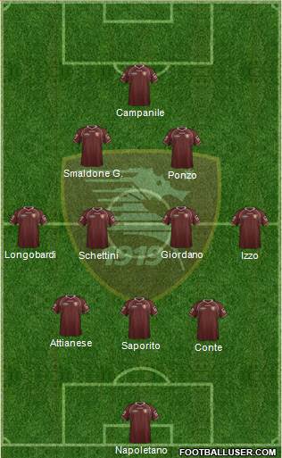 Salernitana Formation 2013