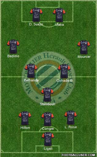 Montpellier Hérault Sport Club Formation 2013