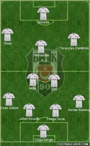 Besiktas JK Formation 2013