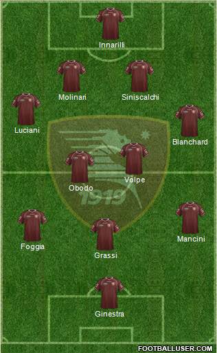 Salernitana Formation 2013