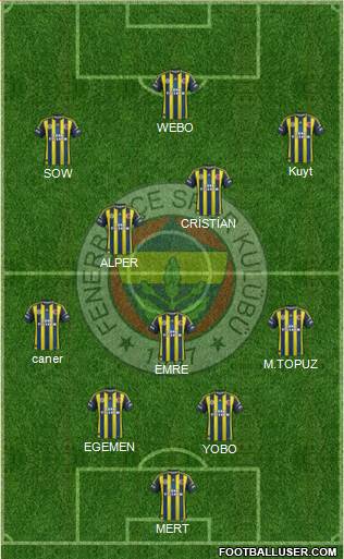 Fenerbahçe SK Formation 2013