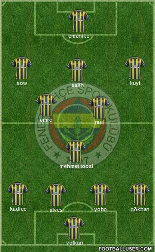 Fenerbahçe SK Formation 2013