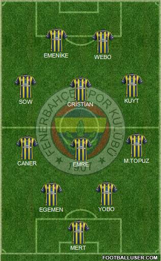 Fenerbahçe SK Formation 2013