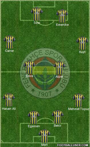 Fenerbahçe SK Formation 2013