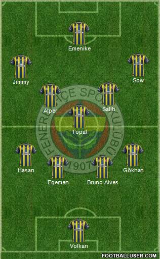 Fenerbahçe SK Formation 2013
