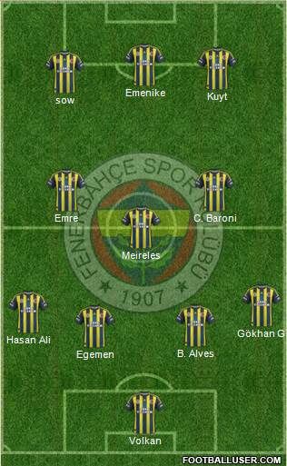 Fenerbahçe SK Formation 2013