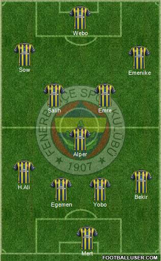 Fenerbahçe SK Formation 2013