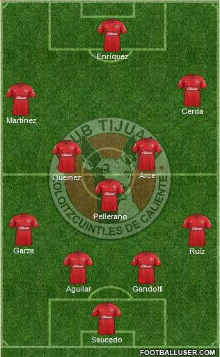 Xoloitzcuintles de Tijuana Formation 2013
