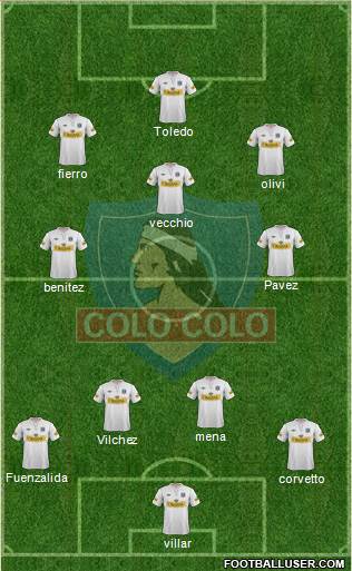 CSD Colo Colo Formation 2013