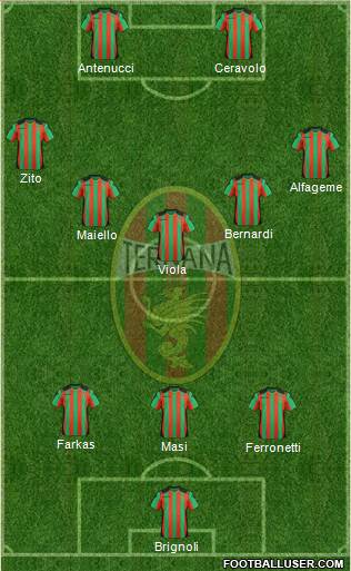 Ternana Formation 2013