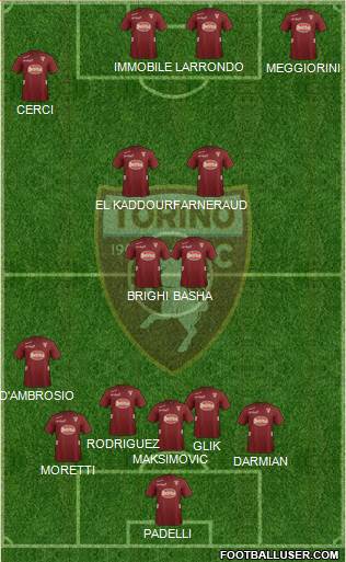 Torino Formation 2013