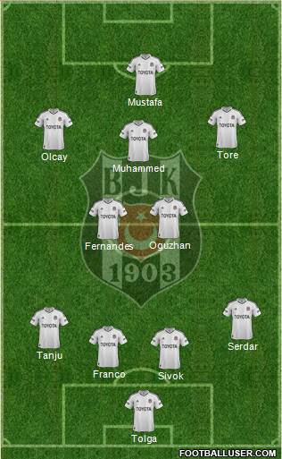 Besiktas JK Formation 2013
