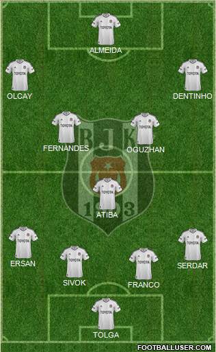 Besiktas JK Formation 2013