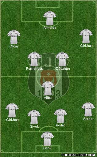Besiktas JK Formation 2013